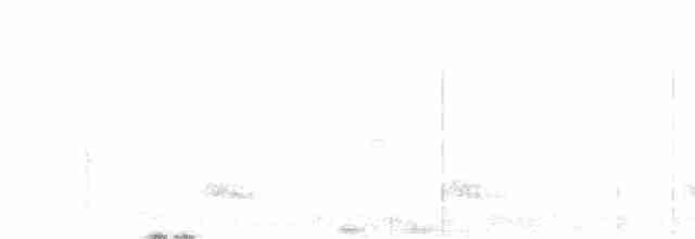 Tinamou à tête rousse - ML404575581