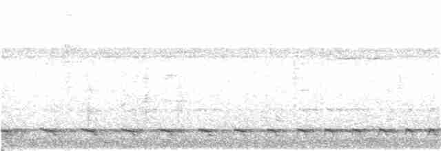 White-tailed Trogon - ML404602361