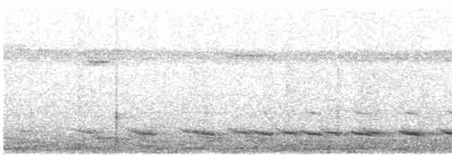 White-tailed Trogon - ML404602531