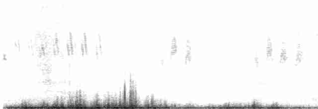 australlerke (javanica gr.) - ML404661561