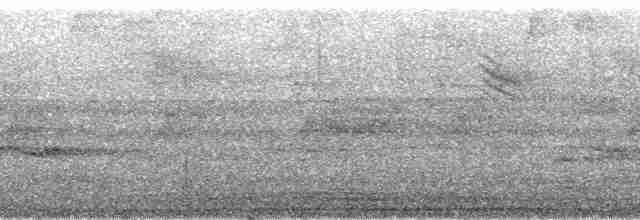 Gray-headed Tanager (Gray-headed) - ML40470