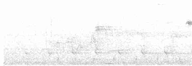 Southern White-fringed Antwren - ML404770571