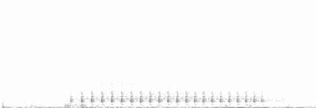 Pileated Woodpecker - ML404788961