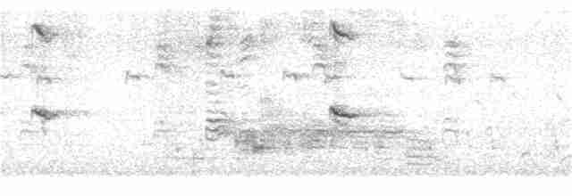 Al Kanatlı Karatavuk (californicus/mailliardorum) - ML404820951