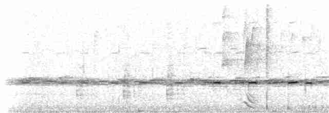 Beyaz Kuyruklu Ketzal - ML405149221