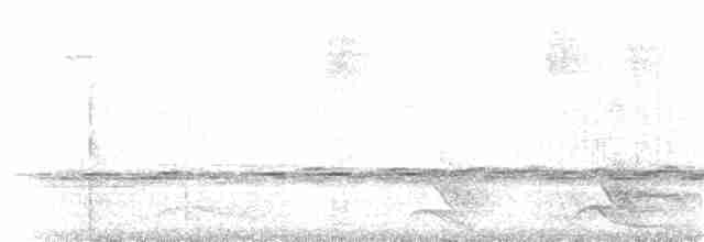 Beyaz Kuyruklu Ketzal - ML405149681