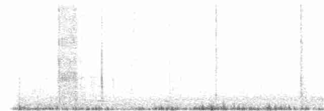 Cisne Trompetero - ML40516711