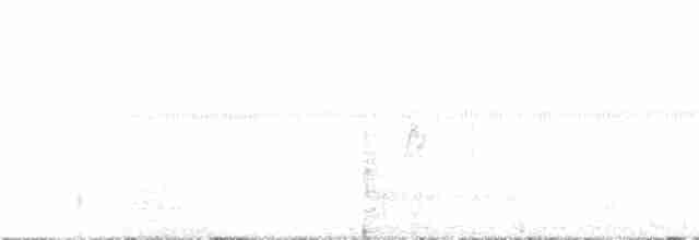 Zimtbrauen-Blattspäher - ML405239181