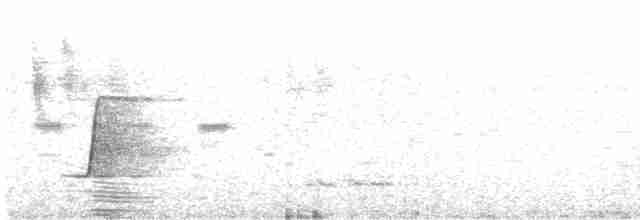 Rufous Whistler - ML405246011