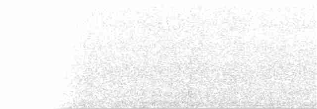 blånakkemaurpitta - ML405274801