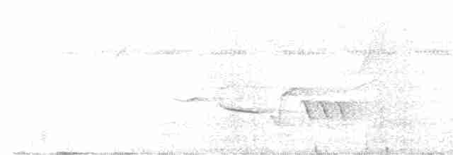 trogon guyanský - ML405289241
