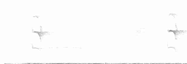 White-flanked Antwren - ML405353001