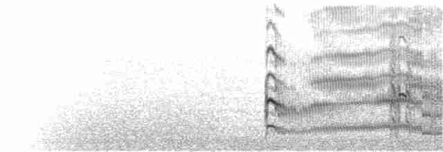 Common Tern - ML40539261
