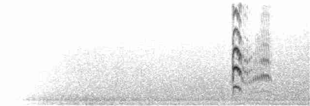 Common Tern - ML40539321