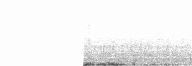 Titikaka Batağanı - ML40546121