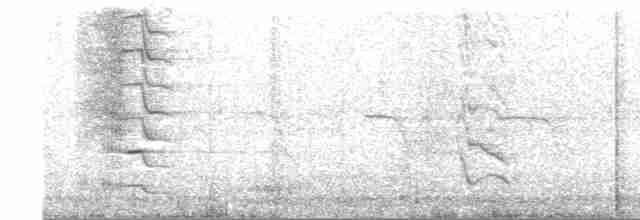 Striped Cuckoo - ML405508701
