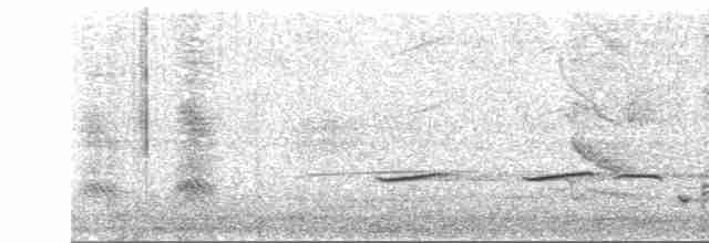 Striped Cuckoo - ML405508711