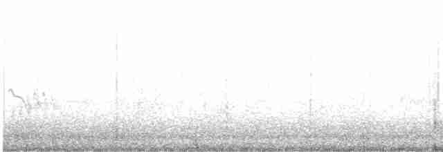 Great Gray Shrike (Steppe) - ML405556561