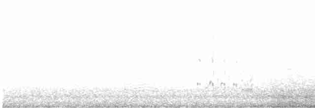 Great Gray Shrike (Steppe) - ML405556571