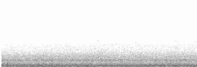 Great Gray Shrike (Steppe) - ML405556611