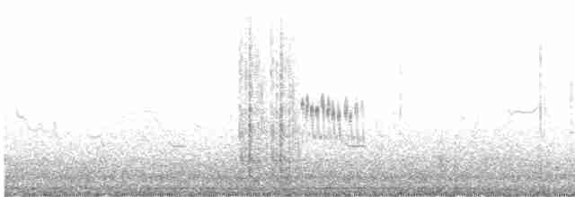 Great Gray Shrike (Steppe) - ML405556631