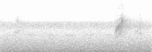 Zimtparadiesschnäpper (unirufa) - ML405574561