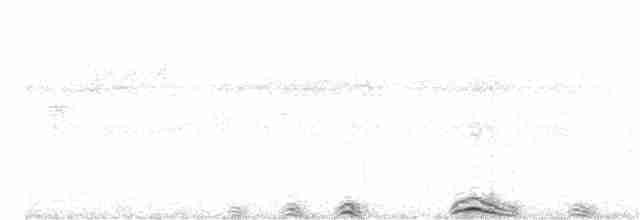 Kara Yüzlü Alaca Baykuş - ML405600631