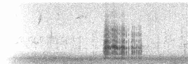 White-tailed Kite - ML405731621