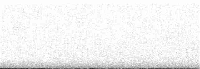 Сероголовый тапакуло - ML405745211