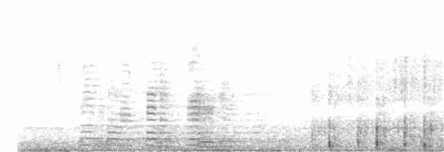 Cisne Trompetero - ML405747301