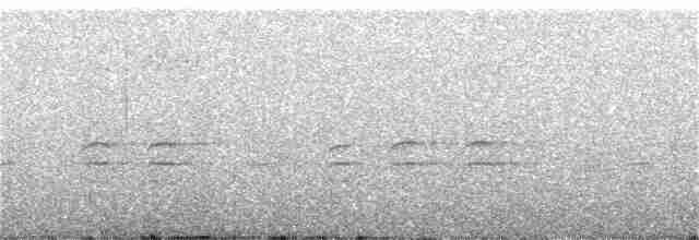 křivka bělokřídlá - ML405812671