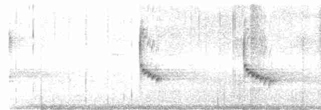 Karolina Çıtkuşu - ML405936771