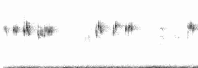 Spotted Bush Warbler - ML405974601