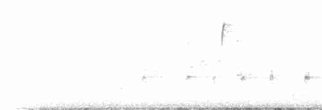 Орлан білоголовий - ML406026311