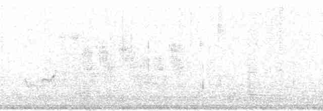 Gözlüklü Baştankara - ML40612