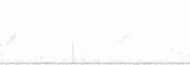 Kara Kuyruklu Bitkuşu - ML40615