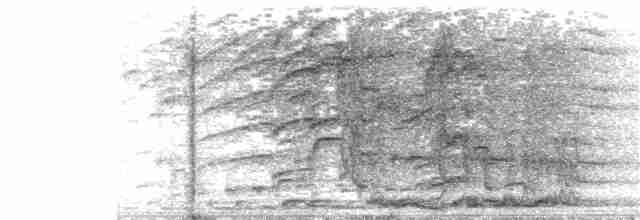 Montezuma Oropendulası - ML406601861