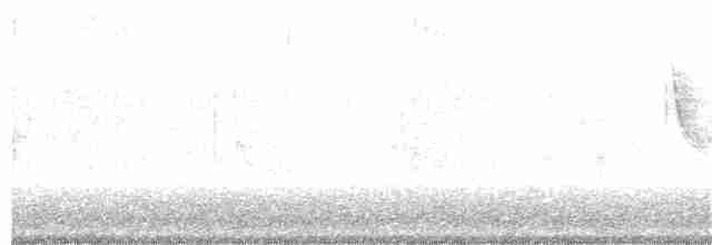 Вівсянка полярна - ML406662171