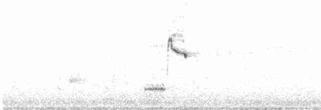 Iberian Gray Shrike - ML406896281