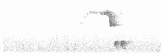 Черноголовый крапивник - ML406900051