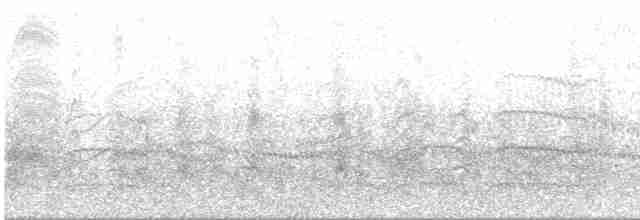 Common Tern - ML407038961