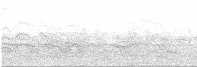 Common Tern - ML407048281