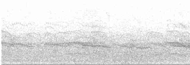 Common Tern - ML407050491