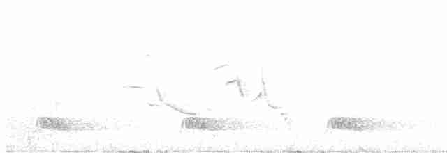 Tinamou à tête rousse - ML407328501