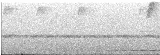 Rufescent Screech-Owl - ML407356921