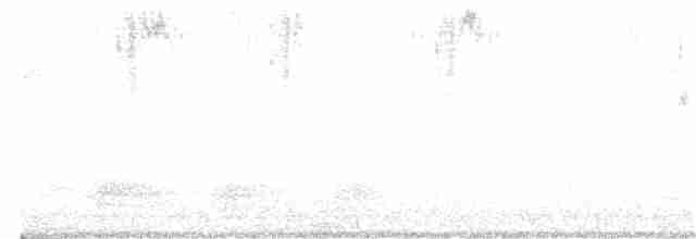 Каліпта рубіновоголова - ML407431621