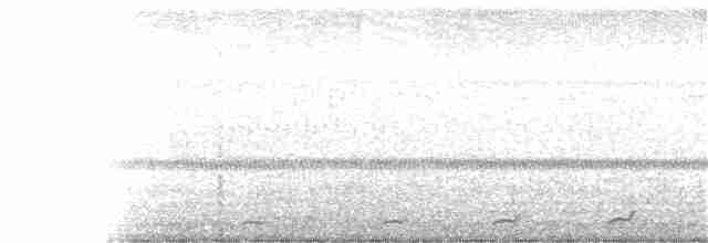 Pauraquenachtschwalbe - ML407518481