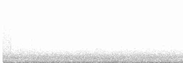 Weißbrustkleiber - ML407618551