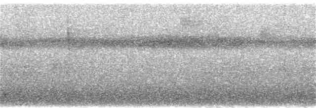 Ірличок сіроголовий - ML407619521