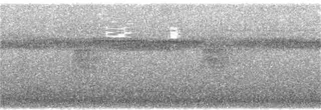 Ірличок сіроголовий - ML407619531